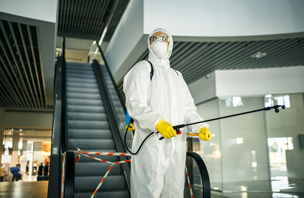 Güney Haşere İlaçlama